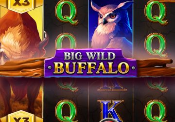 Автомат Big Wild Buffalo в Стейк казино